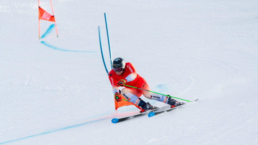 immagine allenamento squadre nazionali di sci